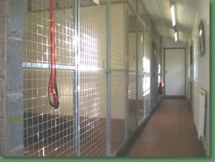 A view inside the kennels
